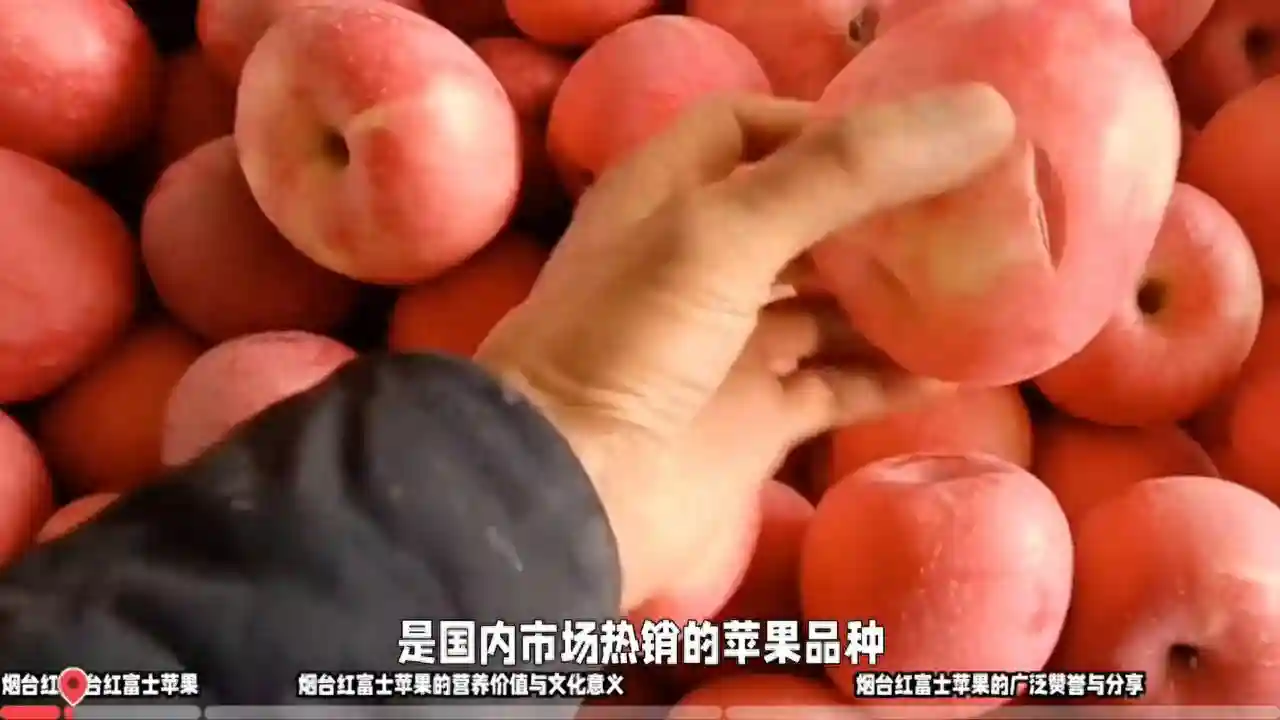 九阳烘焙剧场香梨水果慕斯蛋糕的做法步骤