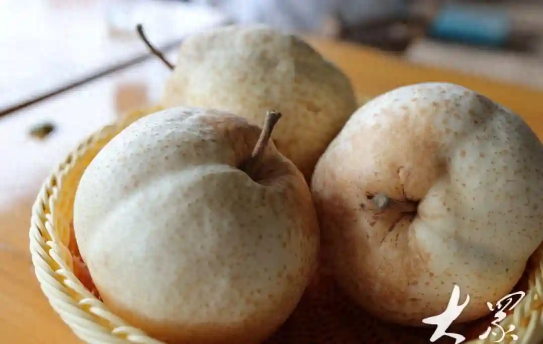 山农酥梨：梨界新星，能否成为水果中的“红富士”？