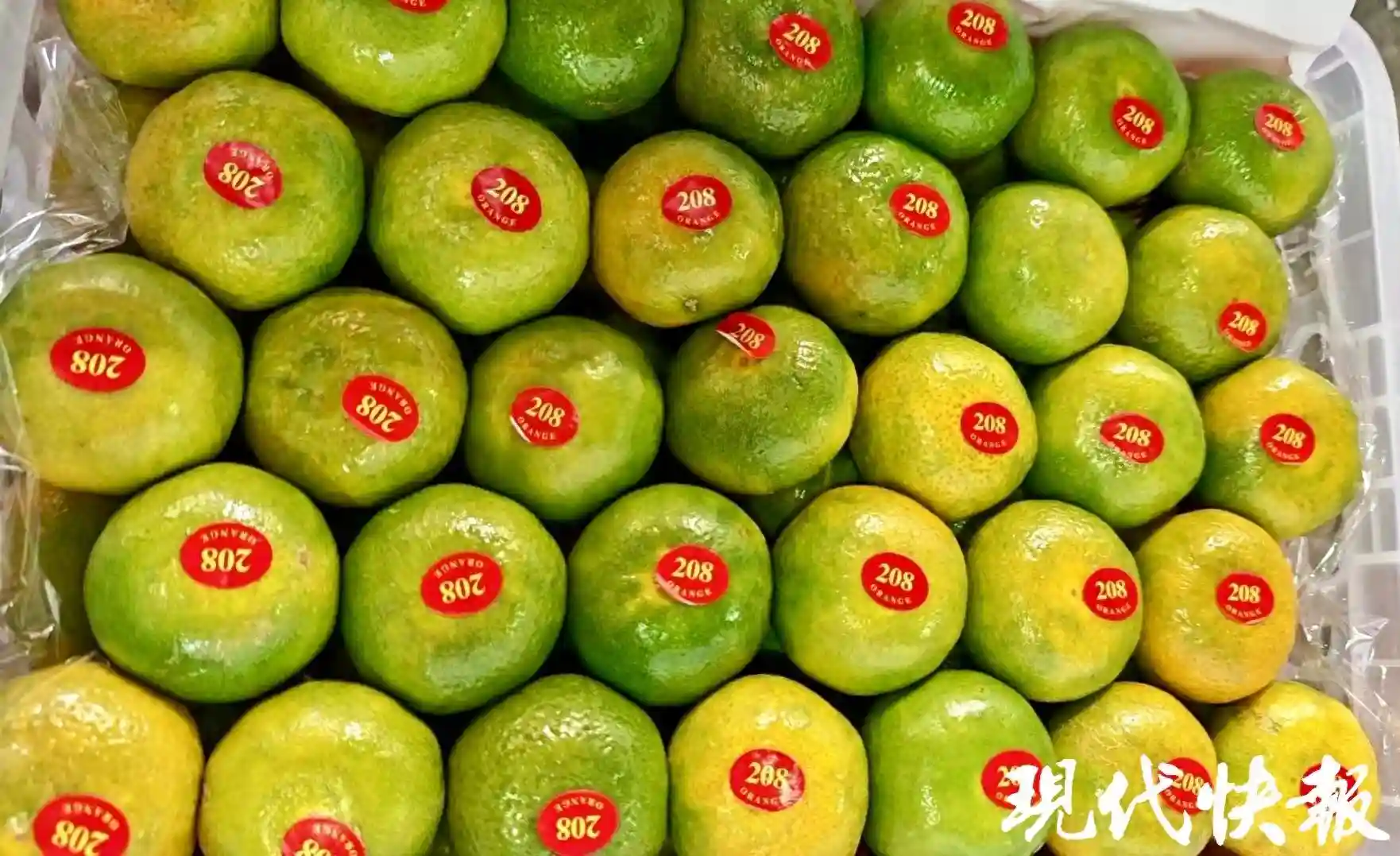 柑橘类水果涌入苏州，“1元果”现身农产品市场