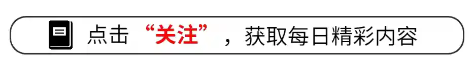 外媒代表广西凭祥感受中国—东盟水果贸易火热