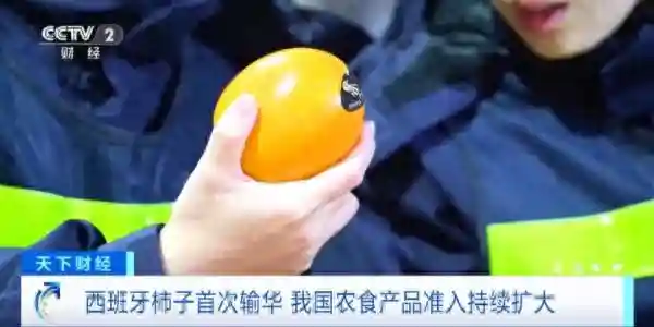 首次进入国内市场！这些进口水果，一整个大期待！