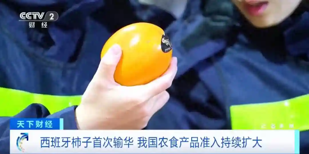 首次进入国内市场！这些进口水果，一整个大期待