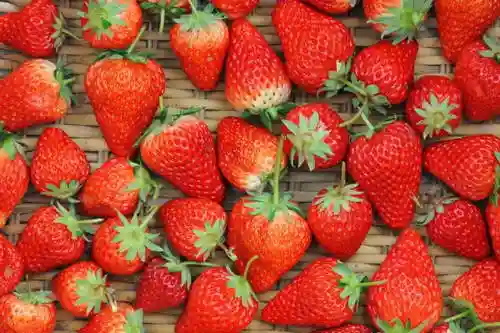 草莓竟然能减肥！19个水果的真相让你惊掉下巴