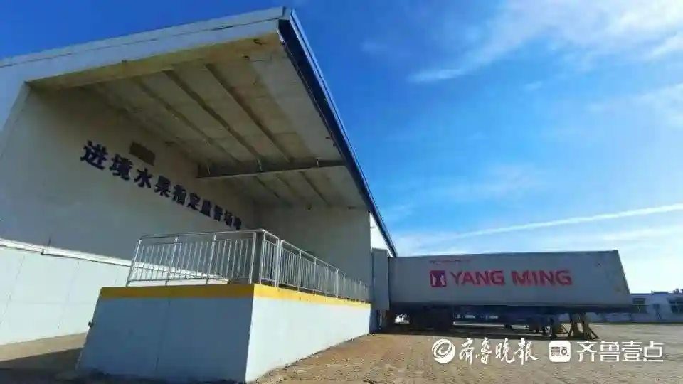 抢“鲜”入市！全球水果海运进境烟台通道成功打通