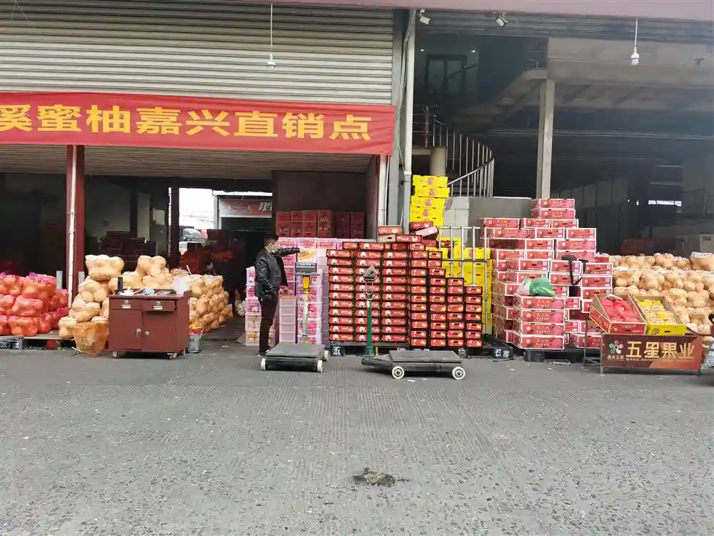 我去逛了逛嘉兴水果市场，发现它和上海很有关系