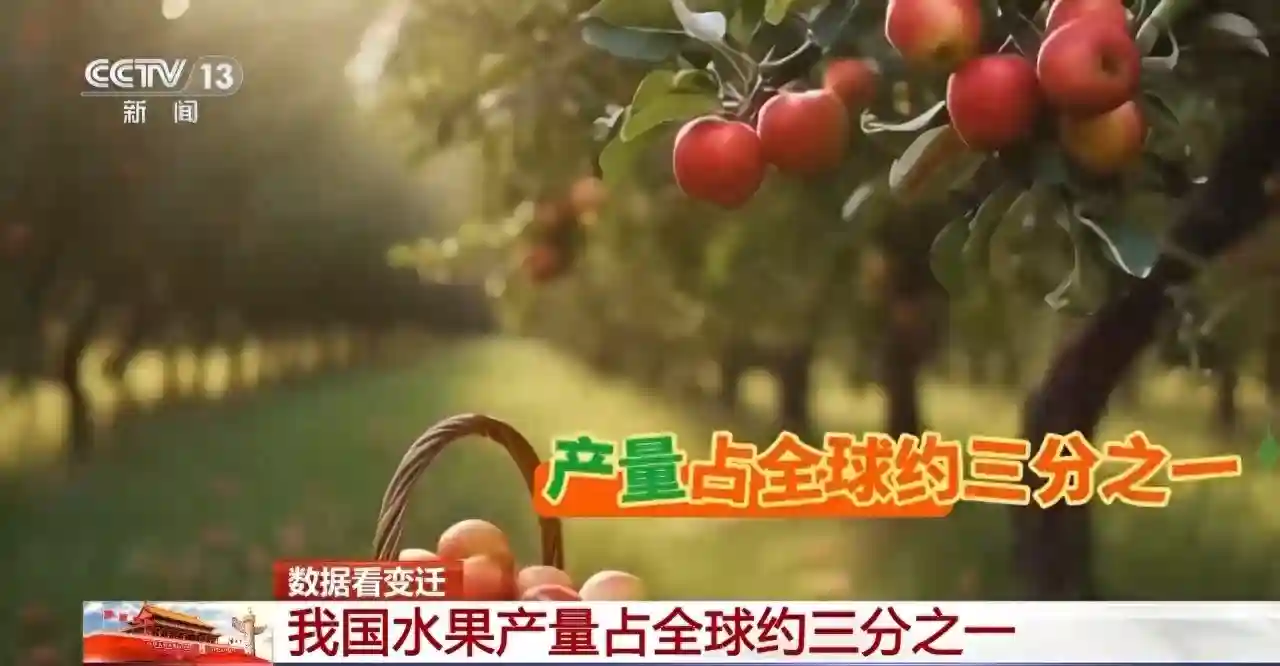 一组数据看变迁！我国水果产量占全球约三分之一