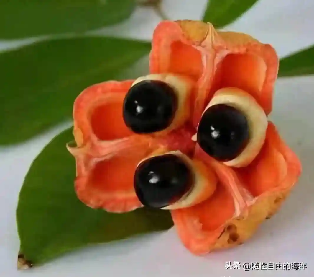 全球十大稀有水果，你尝过几种？保证让你惊叹不已！