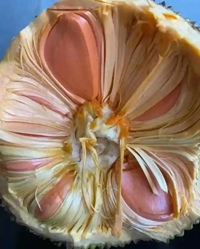 广西水果惊爆价！10元3斤，香蕉1元1斤？！真相揭秘