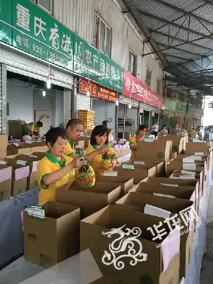 将水果批发市场搬上网 它凭啥打败其他生鲜电商