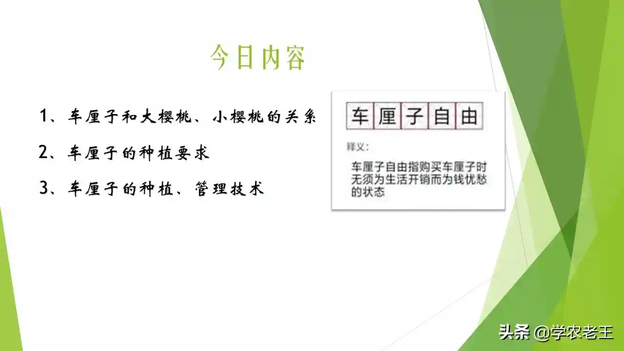 “水果贵族”车厘子，其实就是大樱桃！如何种植和管理？