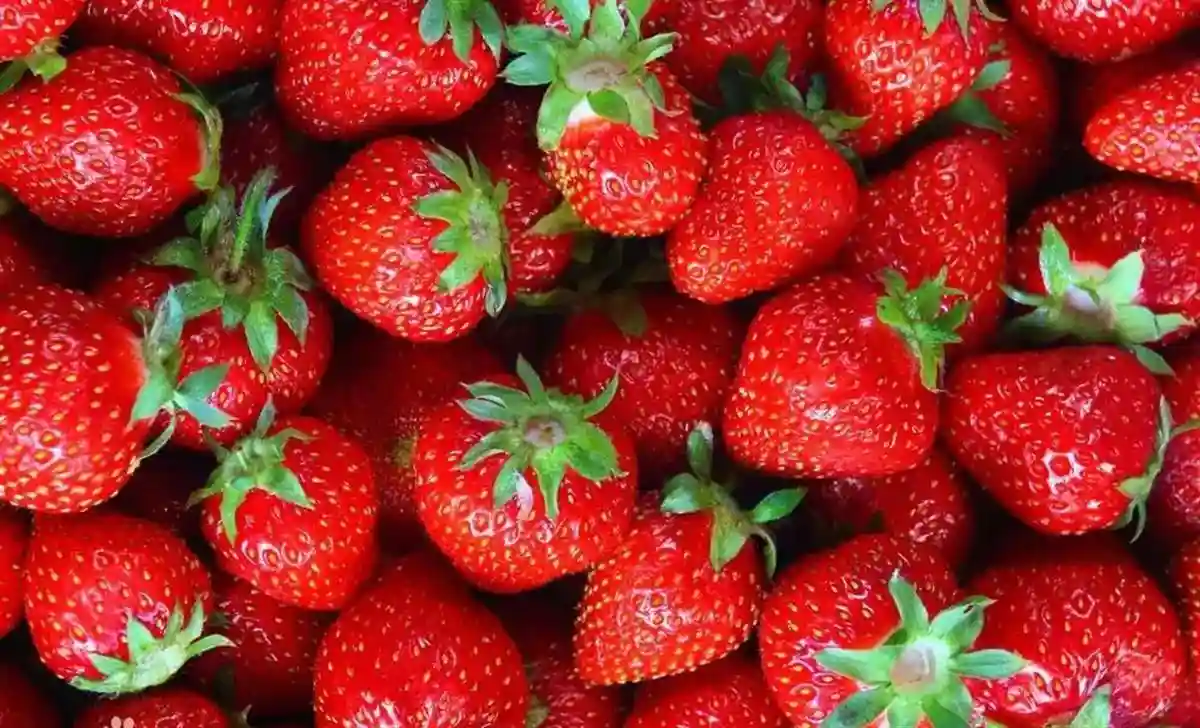 2022夏日早上好问候动画表情水果图片，祝新的一周事事顺心如意