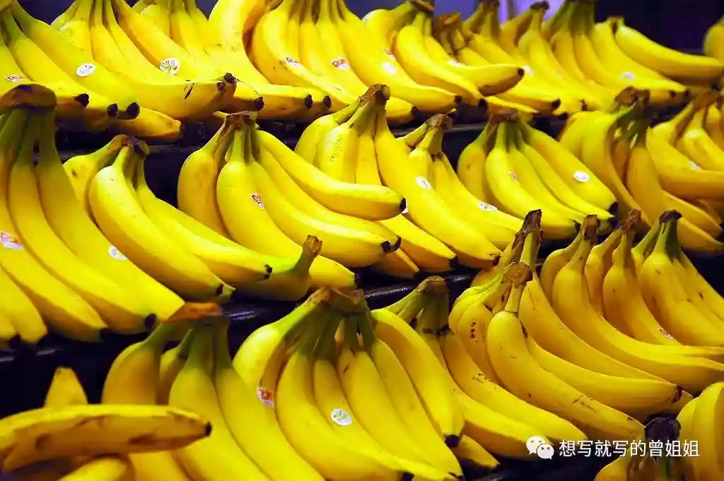 世界粮农组织（FAO）推荐的五大健康水果—第三名：香蕉