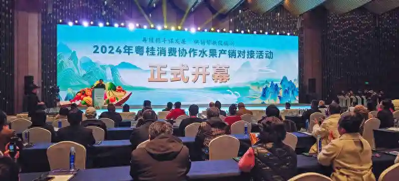 2024年粤桂消费协作水果产销对接活动在南宁举行