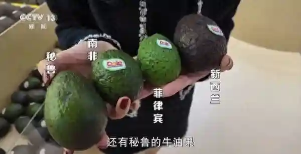 从80元1个到36.9元8个，“明星水果”价格跳水的背后