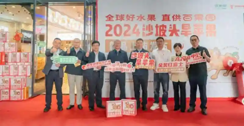 百果园携手沙坡头旱苹果：共绘宁夏水果产业盛景