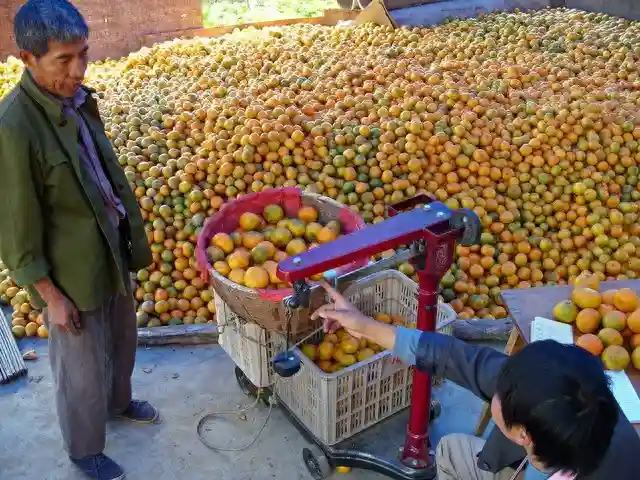 京东618山东人消费金额排名全国第5：菏泽成黑马 自产水果受青睐