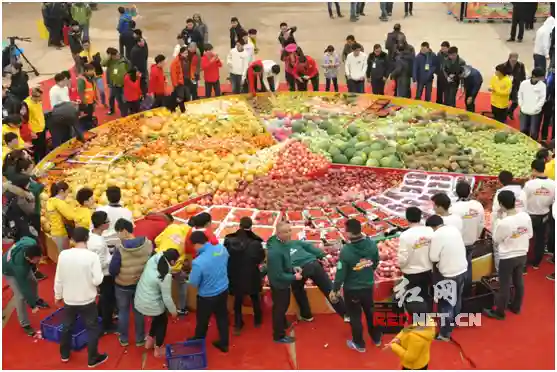 惠及长株潭三地的金阳城水果批发市场正式开业