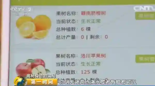 网上种果树能兑换水果和现金？这是最新投资骗局！