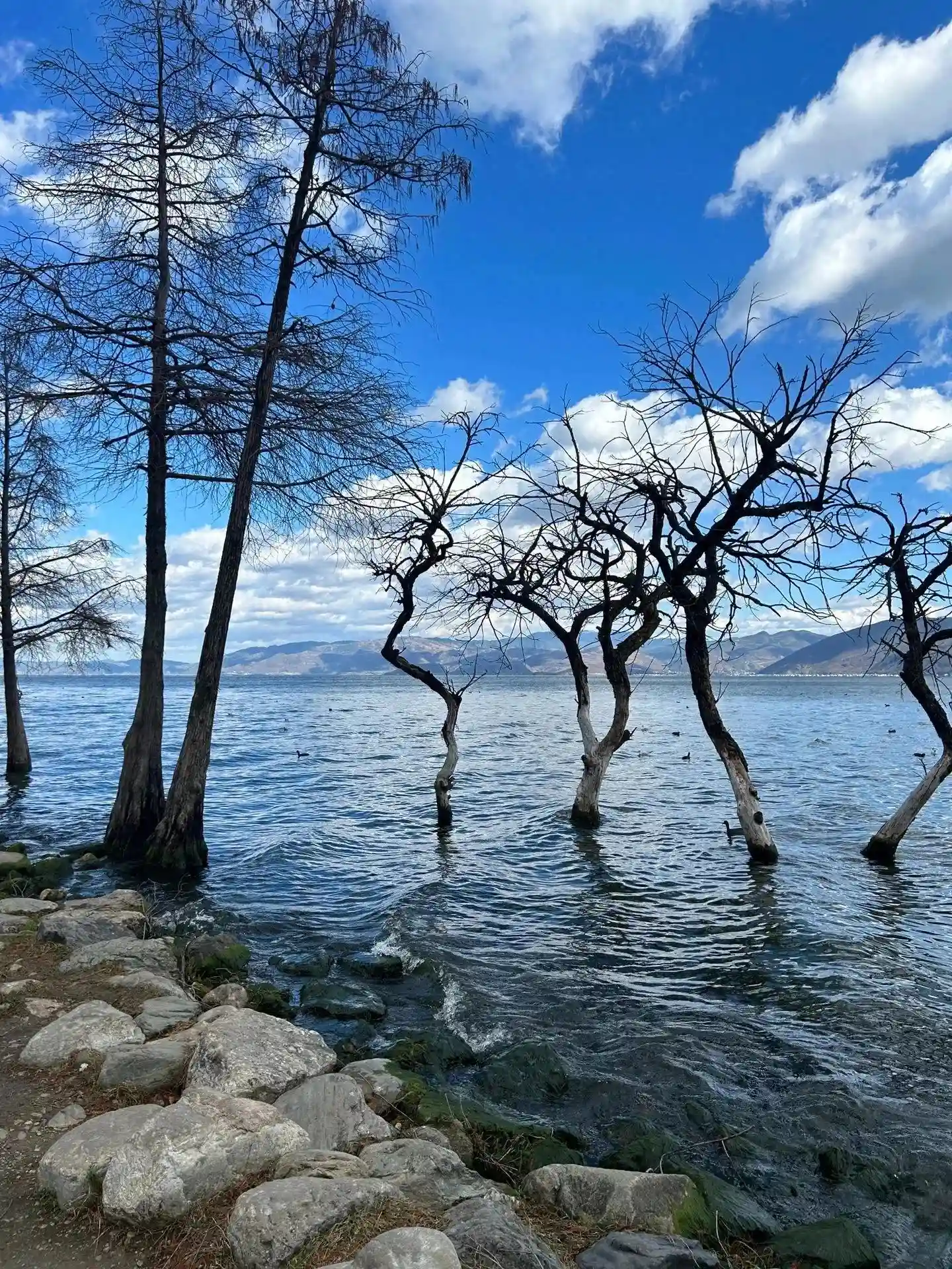 别怪我没提醒你的35个上供水果千万别上错。供柚子