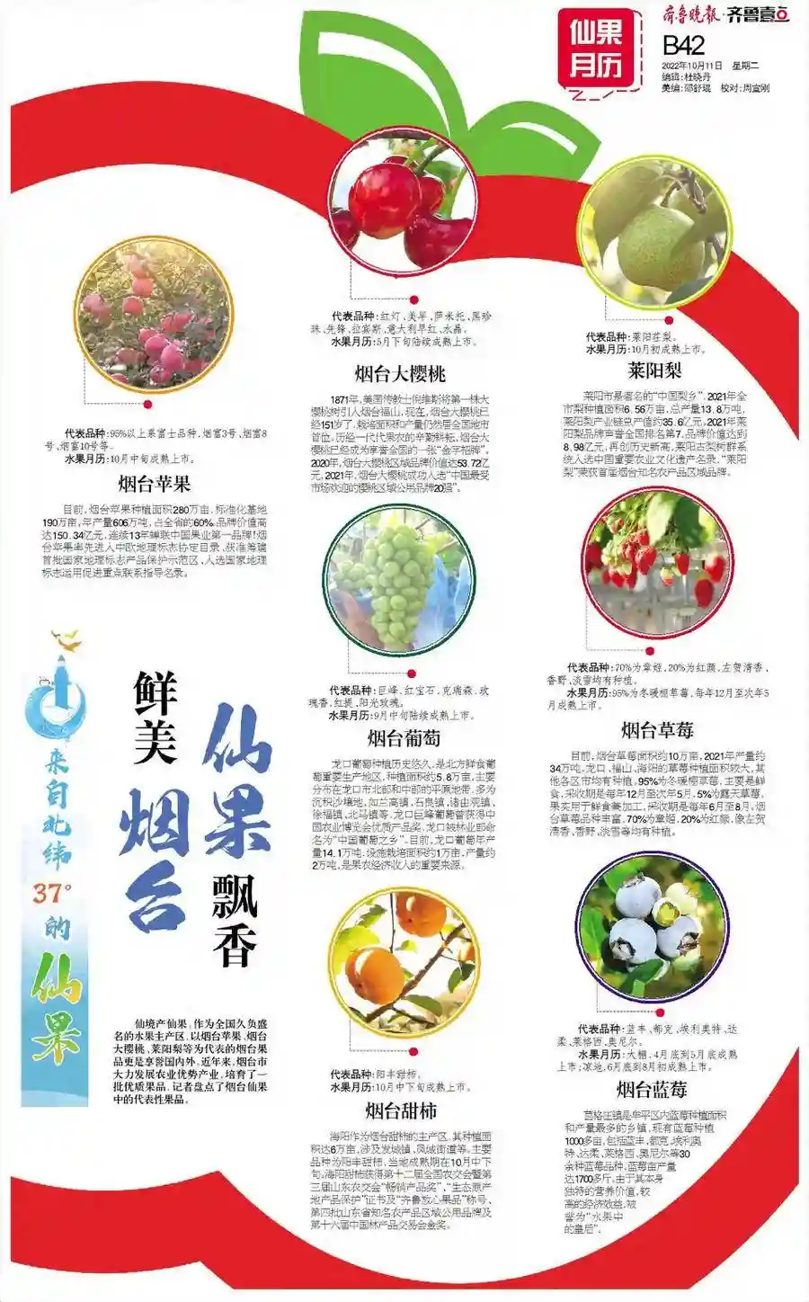 鲜美烟台，仙果飘香！齐鲁壹点为你盘点烟台特色水果