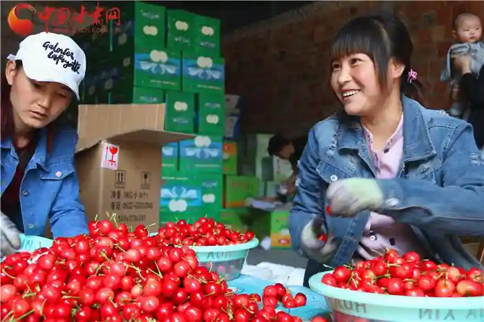 兰州水果批零市场价格感受冷热不一 “五一”预计微涨