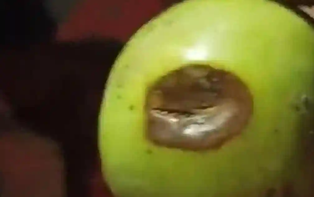 腐烂水果被拉进果汁厂？龙头企业也没有监督豁免权