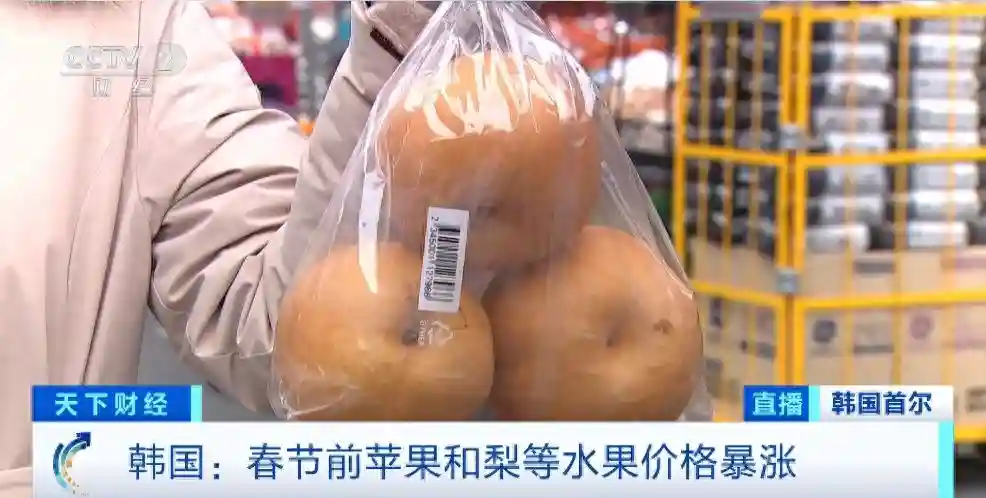 1个梨30元！韩国水果价格暴涨，苹果均价大涨超两倍