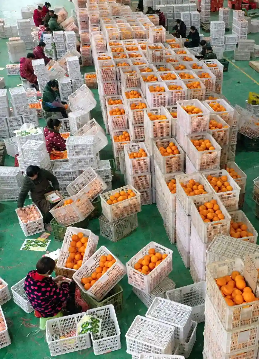 三招攻克水果保鲜难关，商业模式创新塑造创业蓝海
