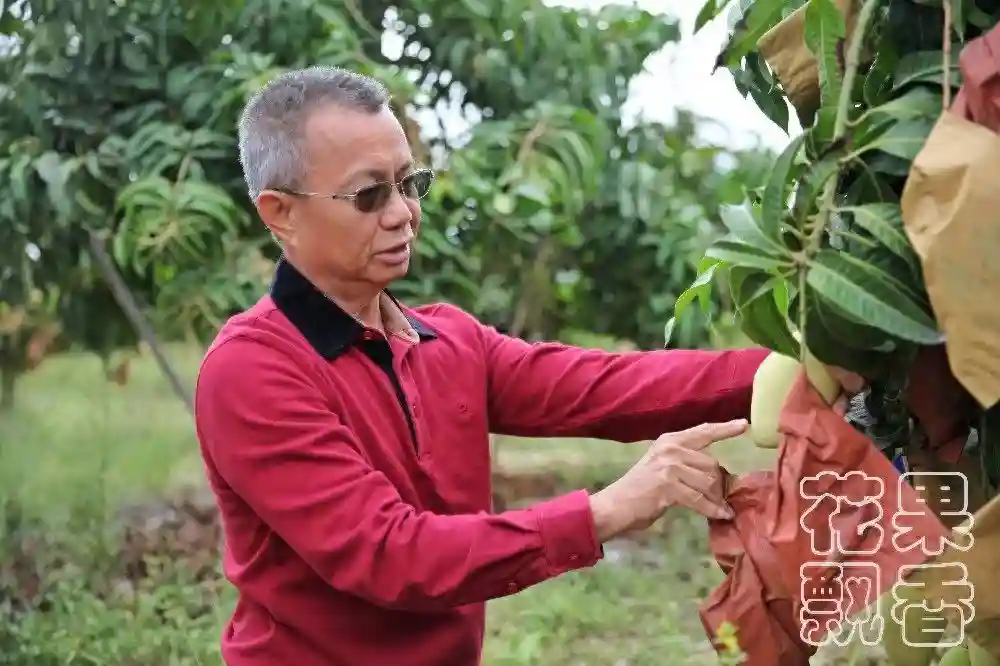 30余年从业感叹：想做好水果，必须产销一体，不能分离