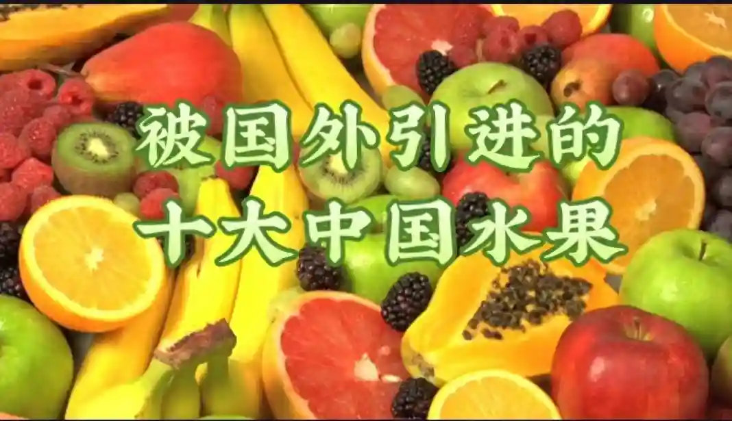 历史上被外国引进十大的中国水果，你都知道是哪些吗？