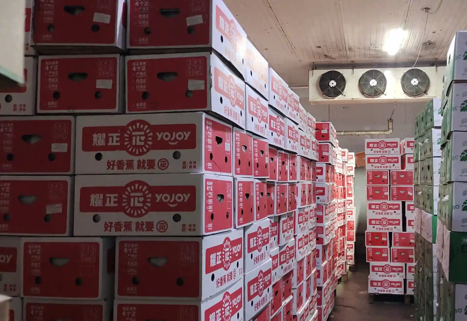 老挝香蕉将开售！新发地今年将引进超60万吨进口水果