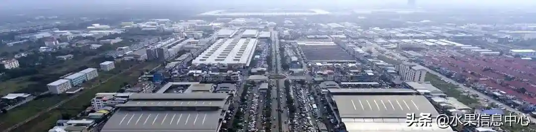 走进东南亚最大的水果市场，榴莲7元/斤，菠萝蜜1.5元/斤