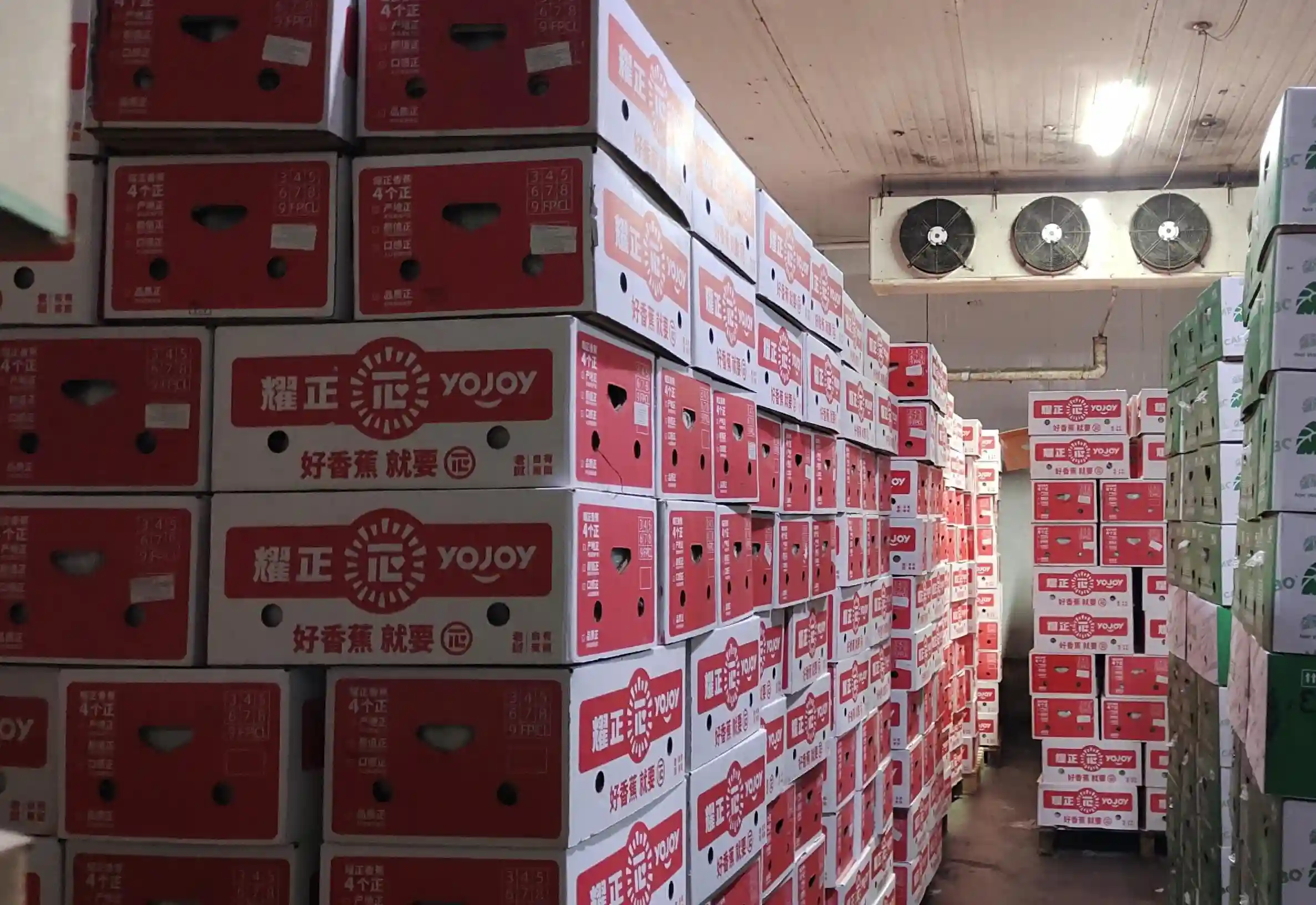 老挝香蕉将开售！新发地今年将引进超60万吨进口水果