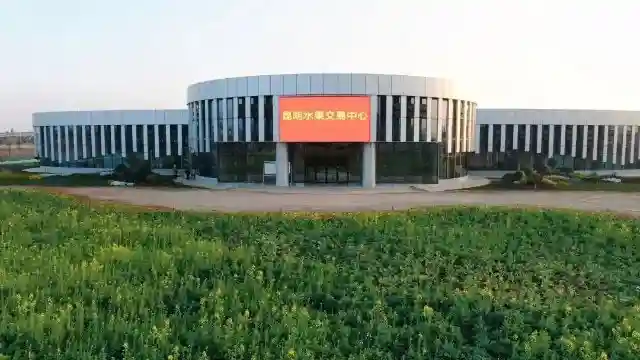 绿色食品贸易“版图”再扩大！昆明水果交易中心挂牌启用