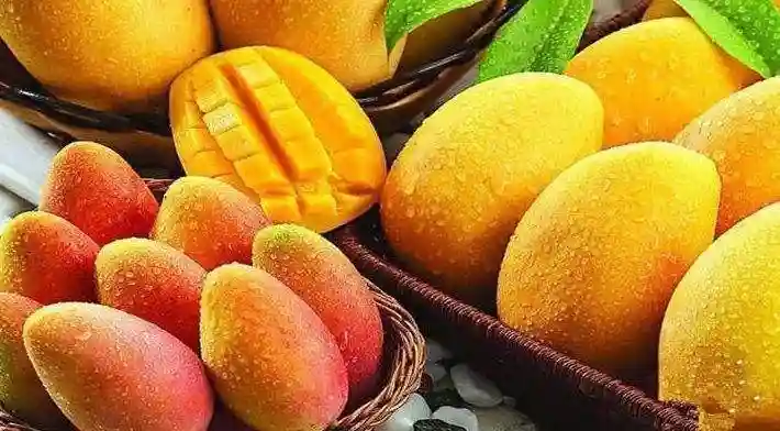 2022年水果生意不好做？3大创新销售模式，教你秒杀对手