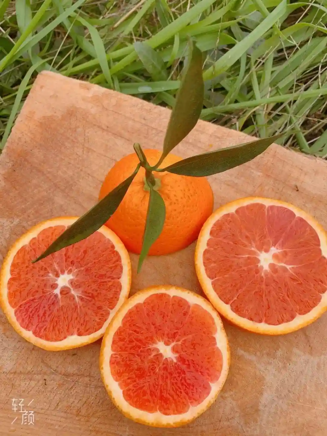 「共战疫情 产销对接」| 重庆市·长寿区 当季水果急寻采购方