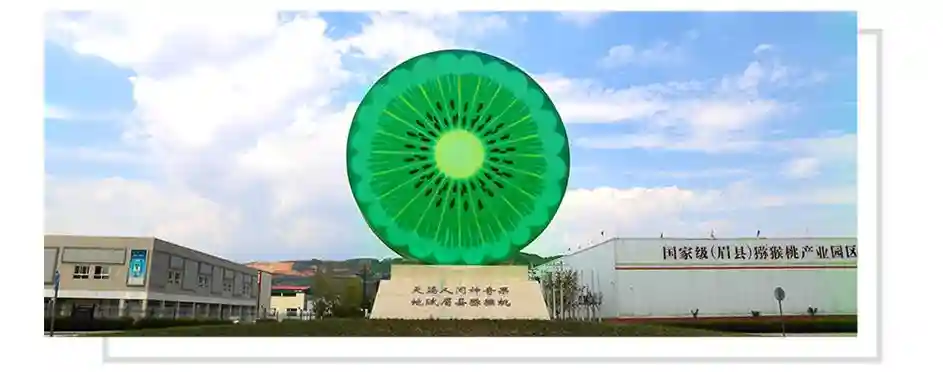 齐峰果业：打造国内专业的生鲜水果原产地供应链服务商