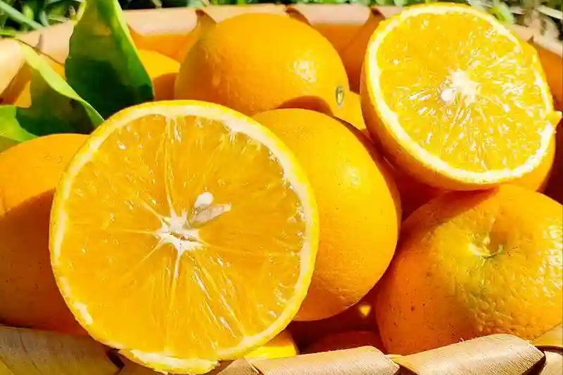 哪个是水果第一大省？是山东、河南，还是广东、广西？还是云南？