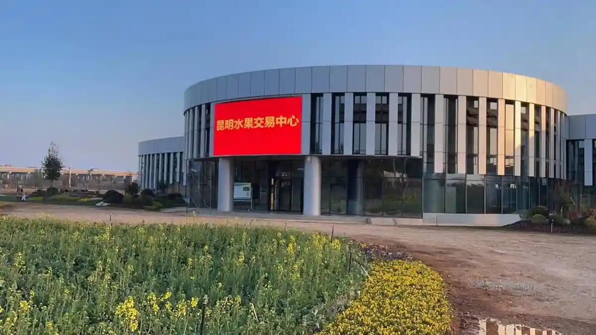 云南嵩明：昆明水果交易中心正式运行 助推云果“通江达海”