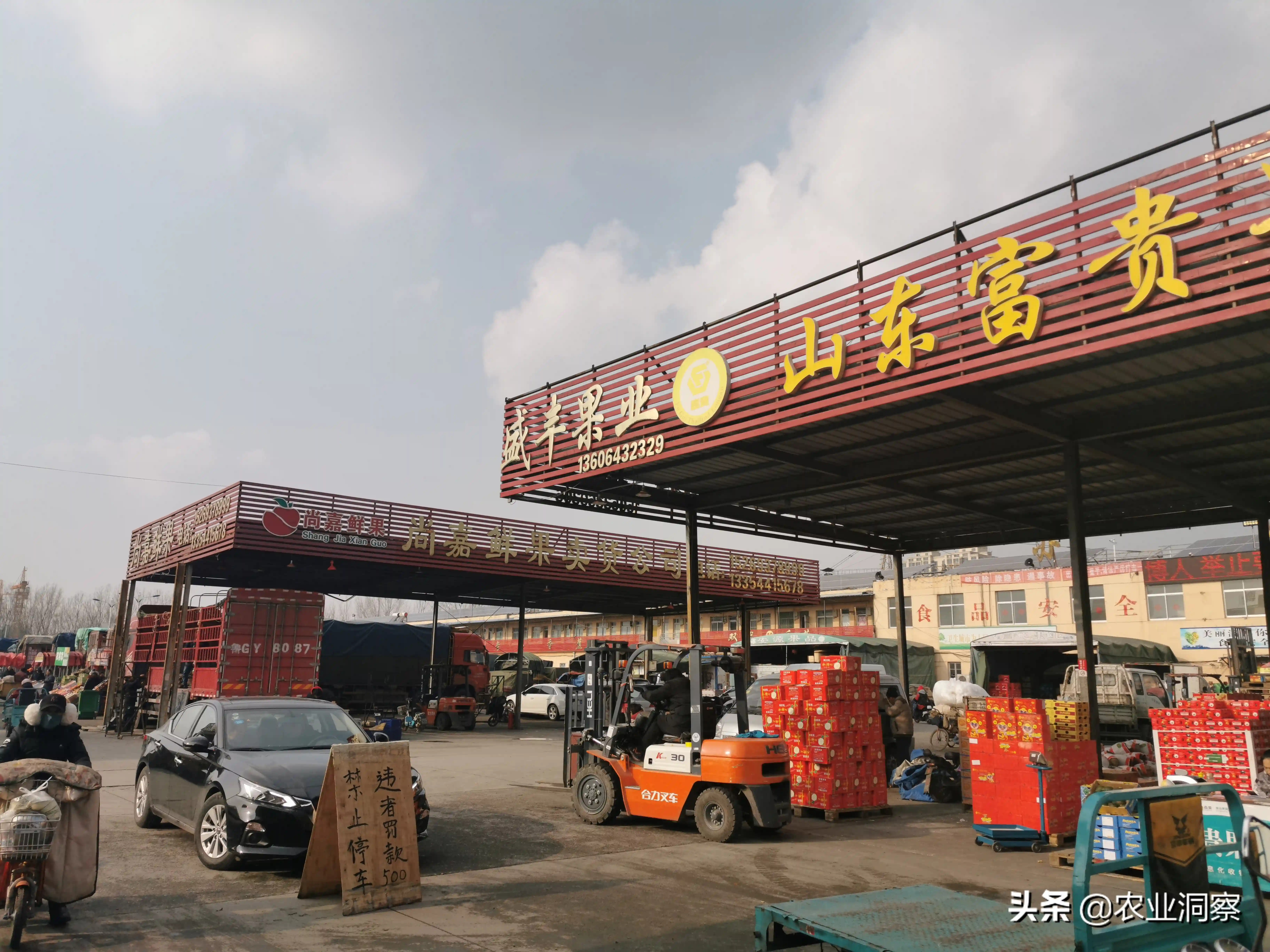 山东最大水果批发市场，砂糖橘价格“倒挂”，批发老板：太正常