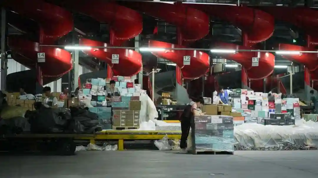 凌晨上飞机！浙江水果卖到国外，一颗超30元！一上架就卖完…