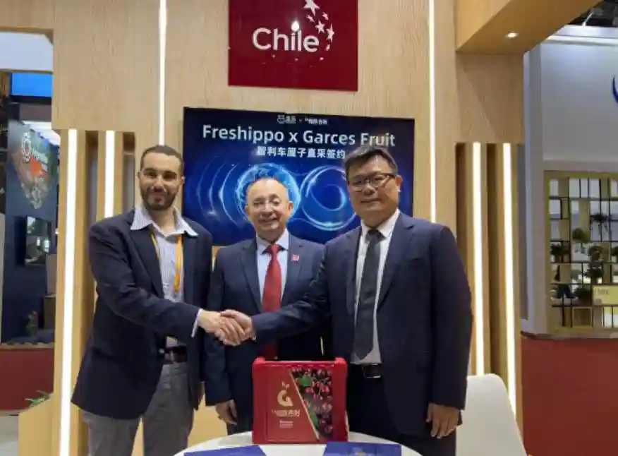 盒马与智利车厘子企业签约 建成首个智利水果直采基地