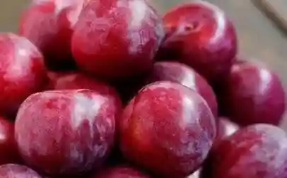 这4种让人“容易忘名字”的水果，图一不算啥，全知道是“大佬”