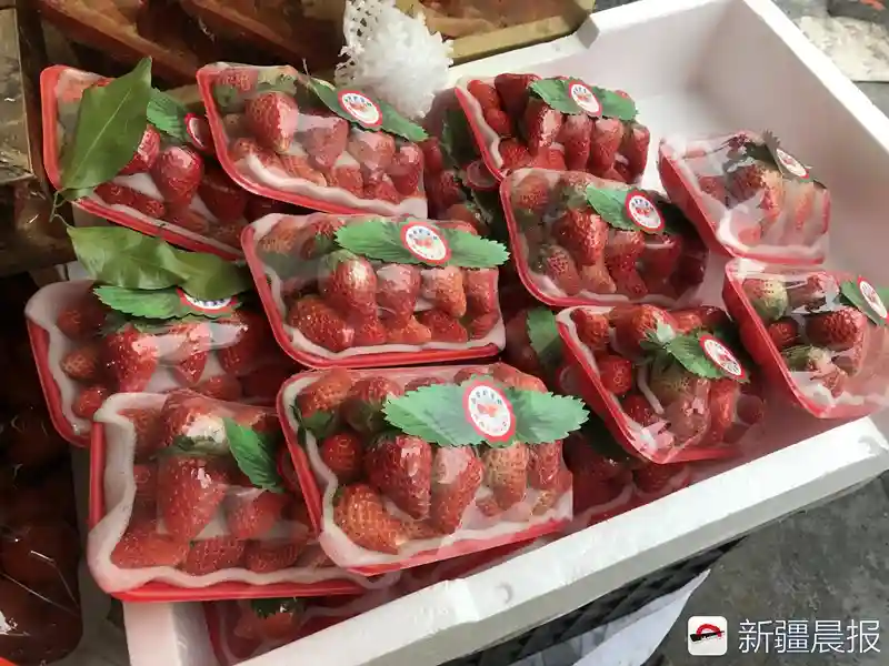 拜年带火礼品水果，今年乌鲁木齐砂糖橘香梨和草莓便宜