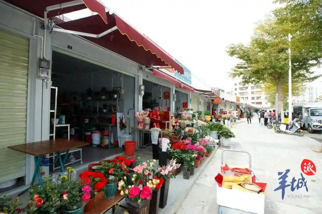 东莞莞城东门花街、珊洲水果街迁新址，市民可前往选购年花