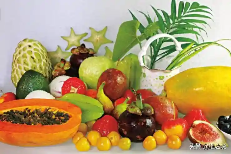 热带水果中的“妖魔鬼怪”，百香果面包果鳄梨的另类身份卡