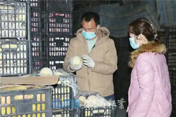 线上线下同步经营 济南张庄路八里桥水果商的“复工生意经”