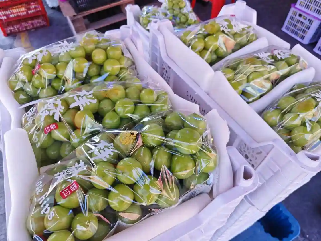 你买到的日本进口阳光玫瑰都是假的！佛山有没“假进口”水果？