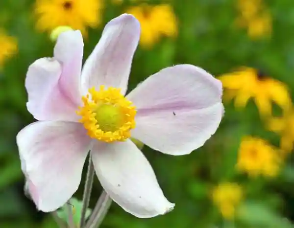 不想胃病“发作”，夏天一定要少碰这3种水果，小心后果很严重