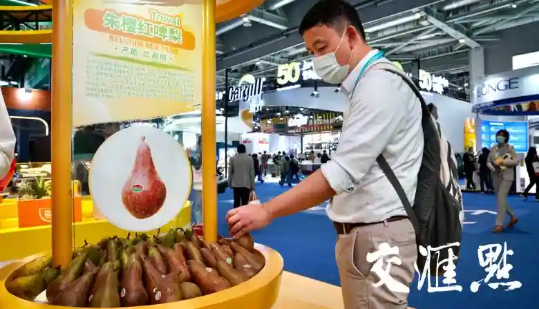 种草进博会｜无核红啤梨、鸡尾酒番茄……水果圈顶流，快到碗里来